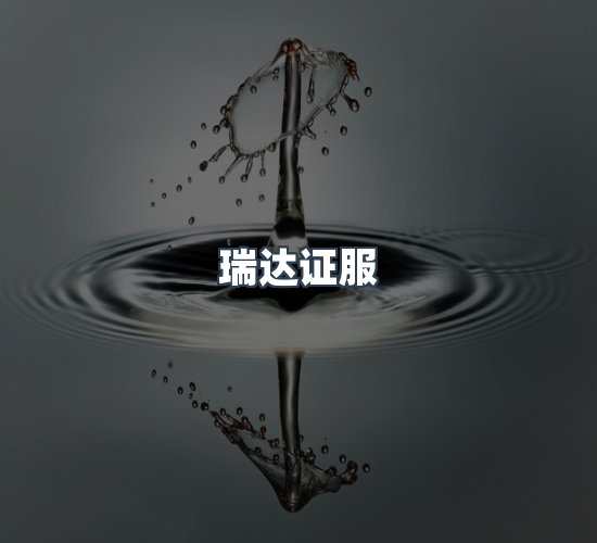 关于瑞达证服